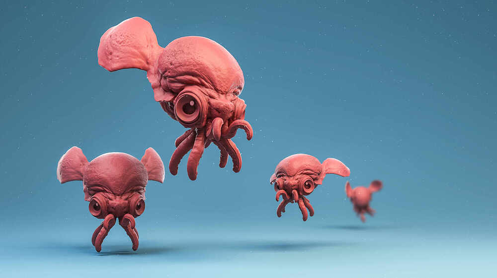 zBabysquid