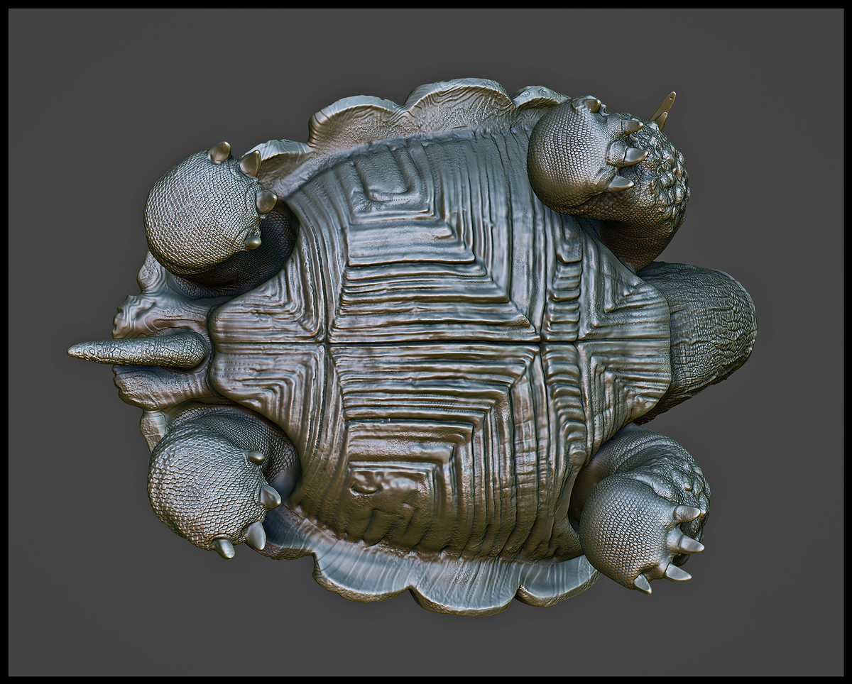 closeup02