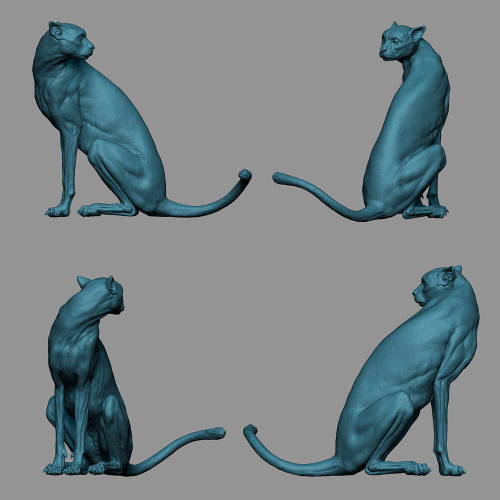 zbrushRender_01
