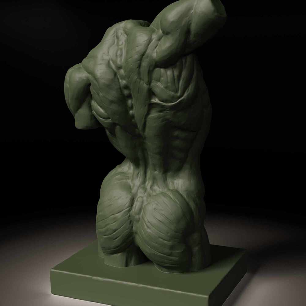 Torso_Render3_Blender