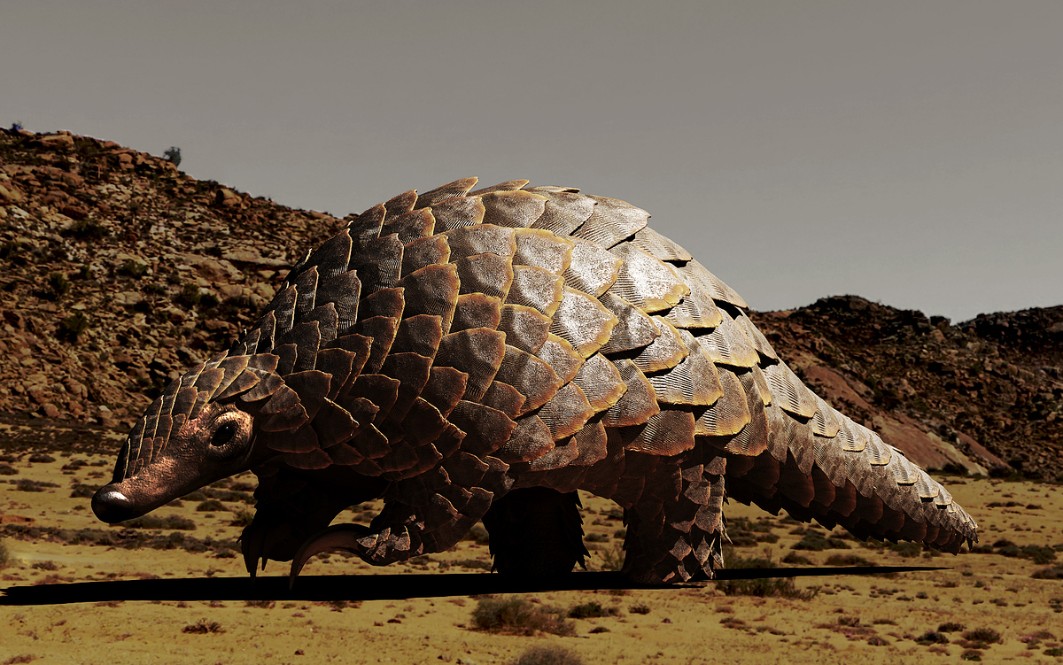 01_Pango