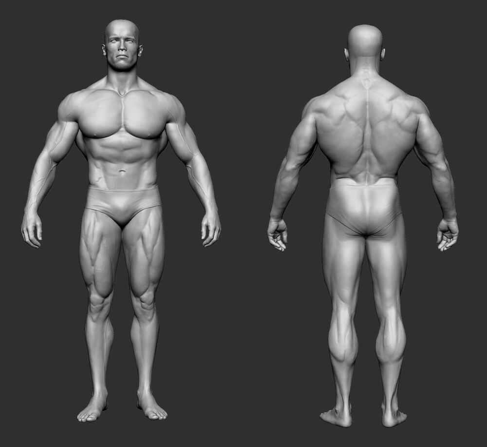 ZBodywip