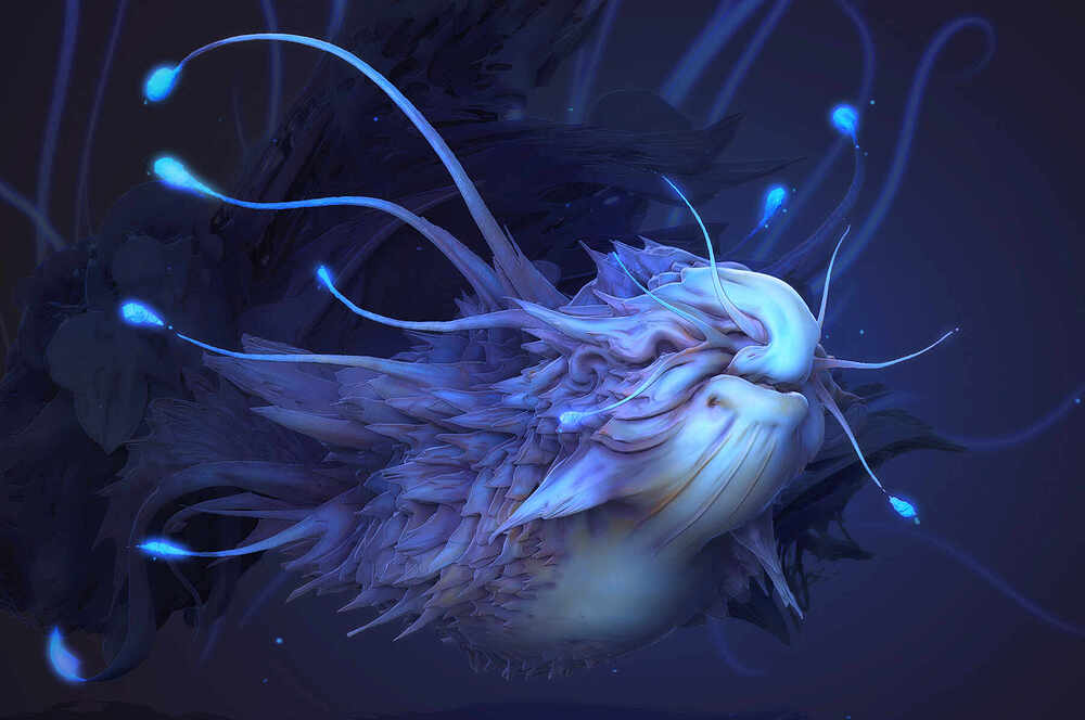 fish