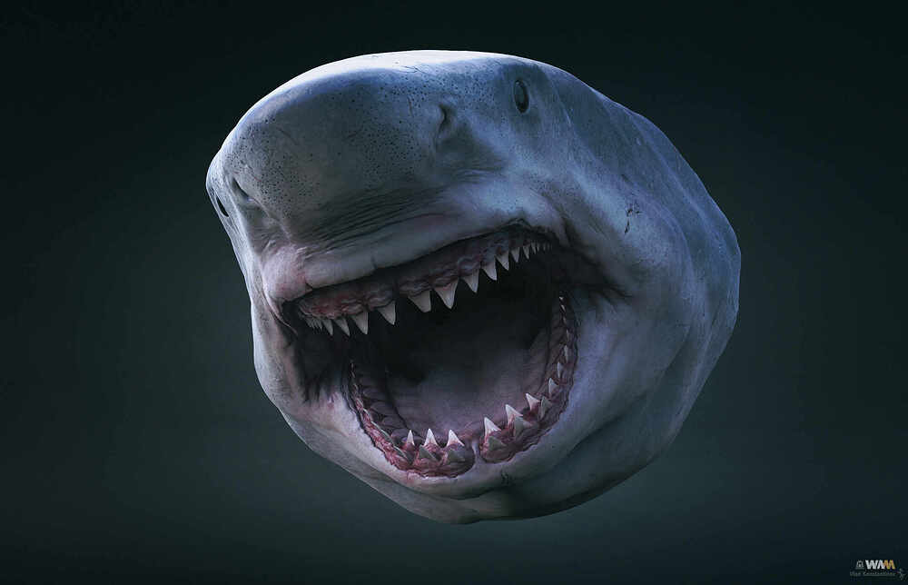 Megalodon_Render_03_Crop_2150_Web