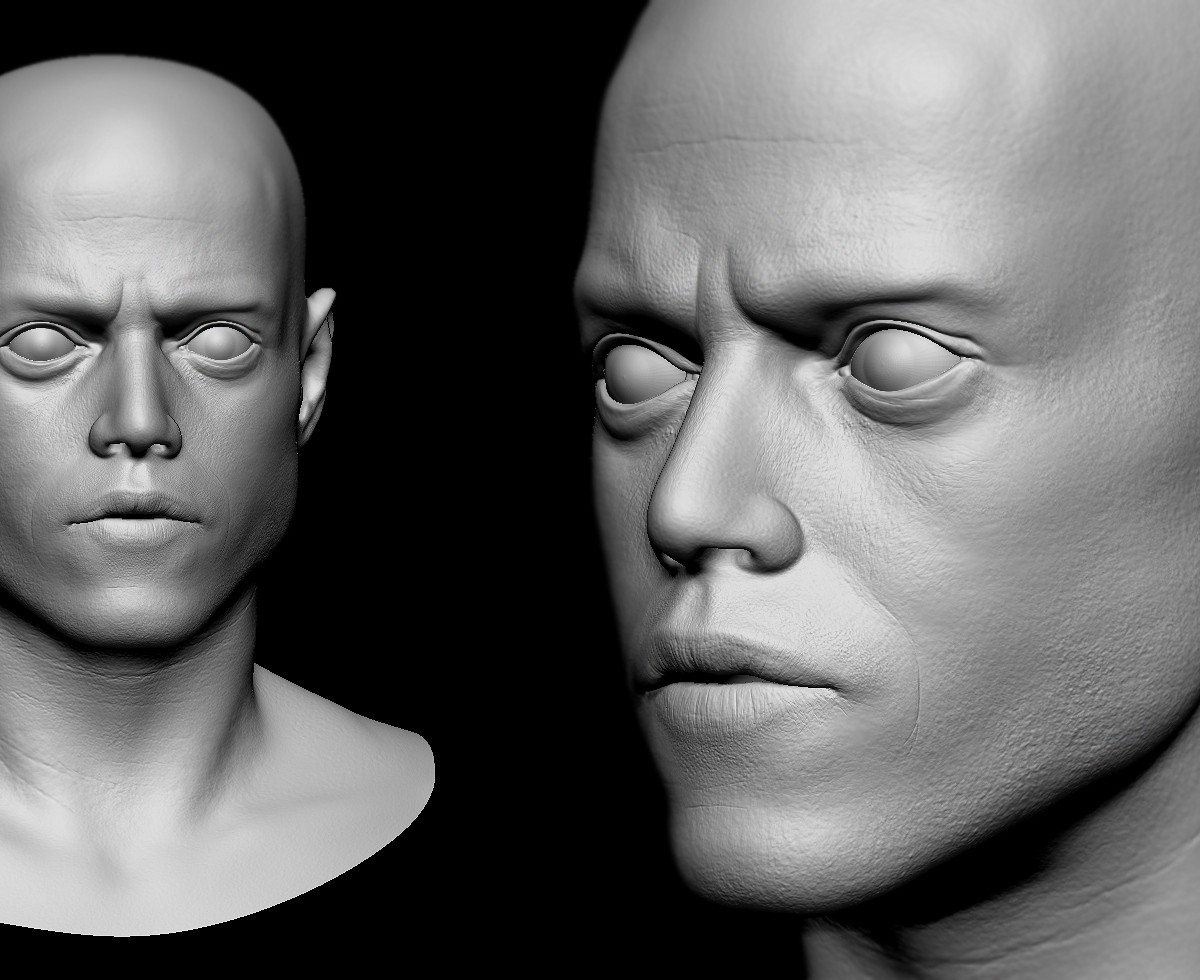 Head_detail.jpg