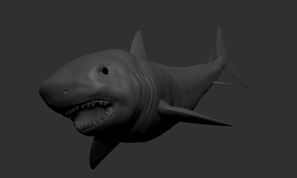 shark mat
