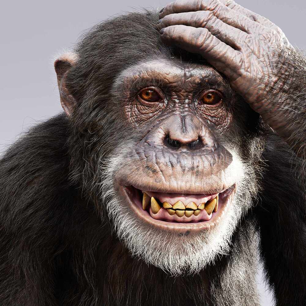 ape_render_ACES_04