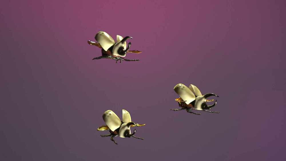 stillimage002_003
