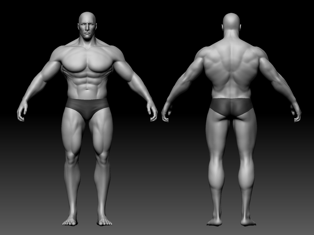 Arnold1
