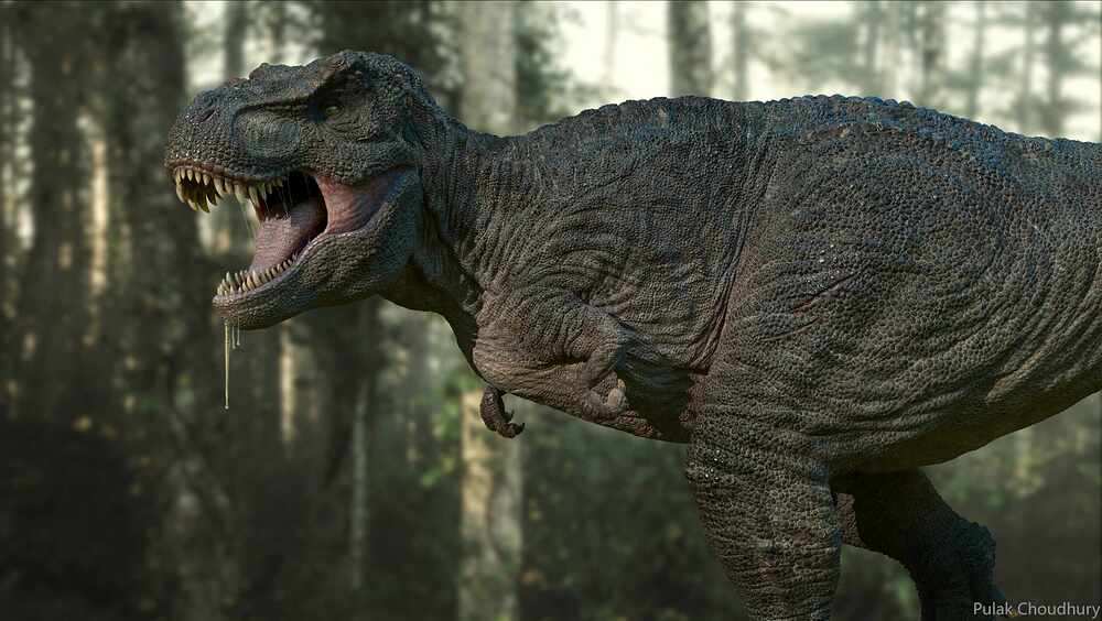 Render011