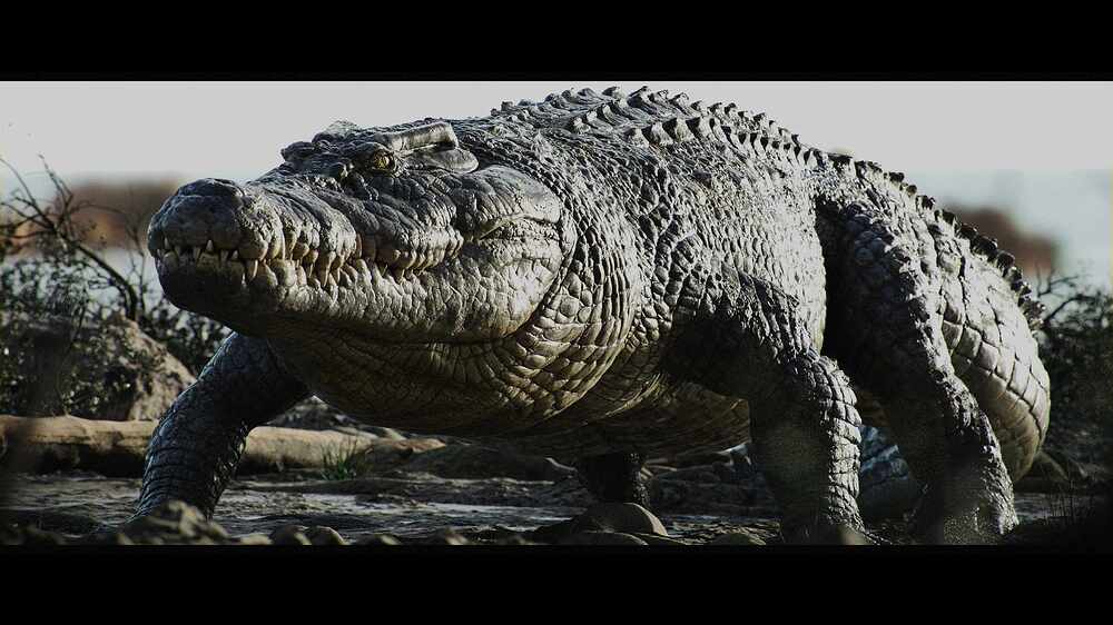 charCrocodile_poseenv_0004