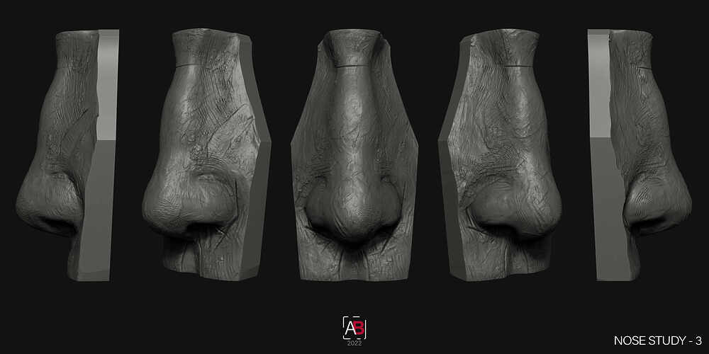 Nose Study-3