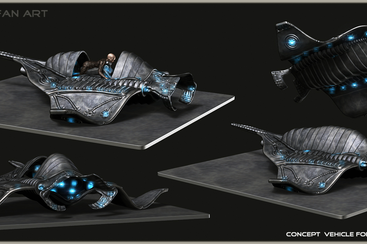 Manta04.jpg