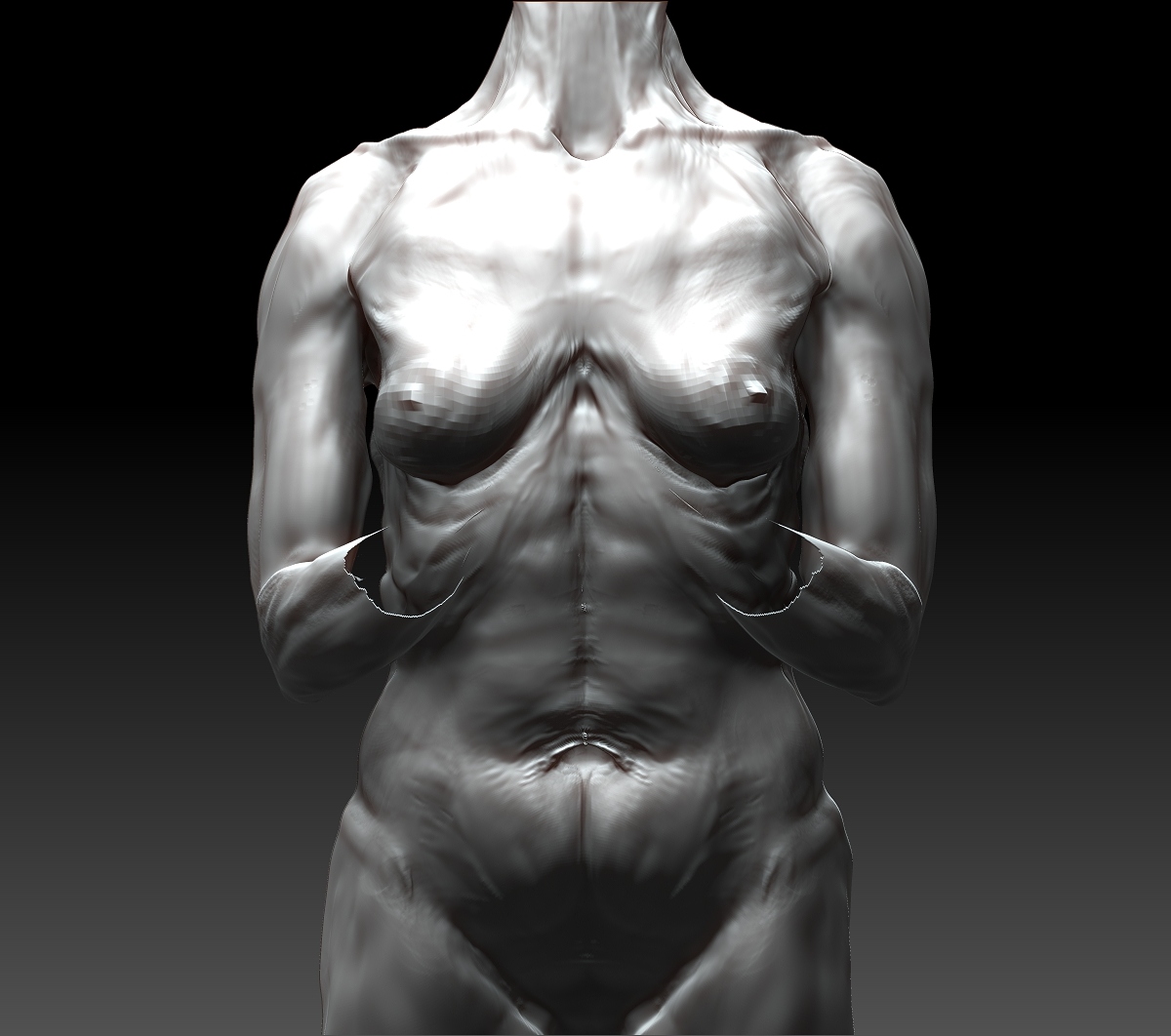 new torso work2.jpg