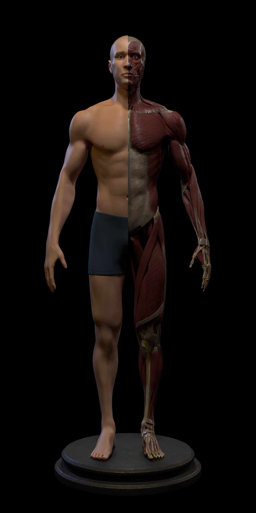 Half_Skin_Front