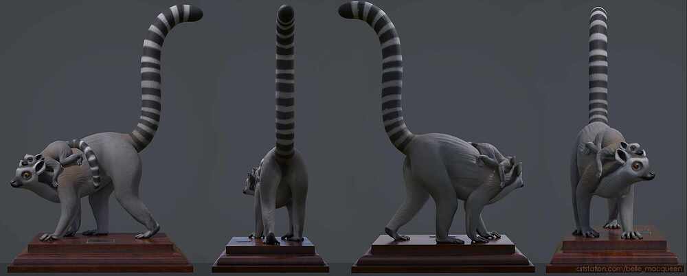 Lemur_7_Belle_Macqueen