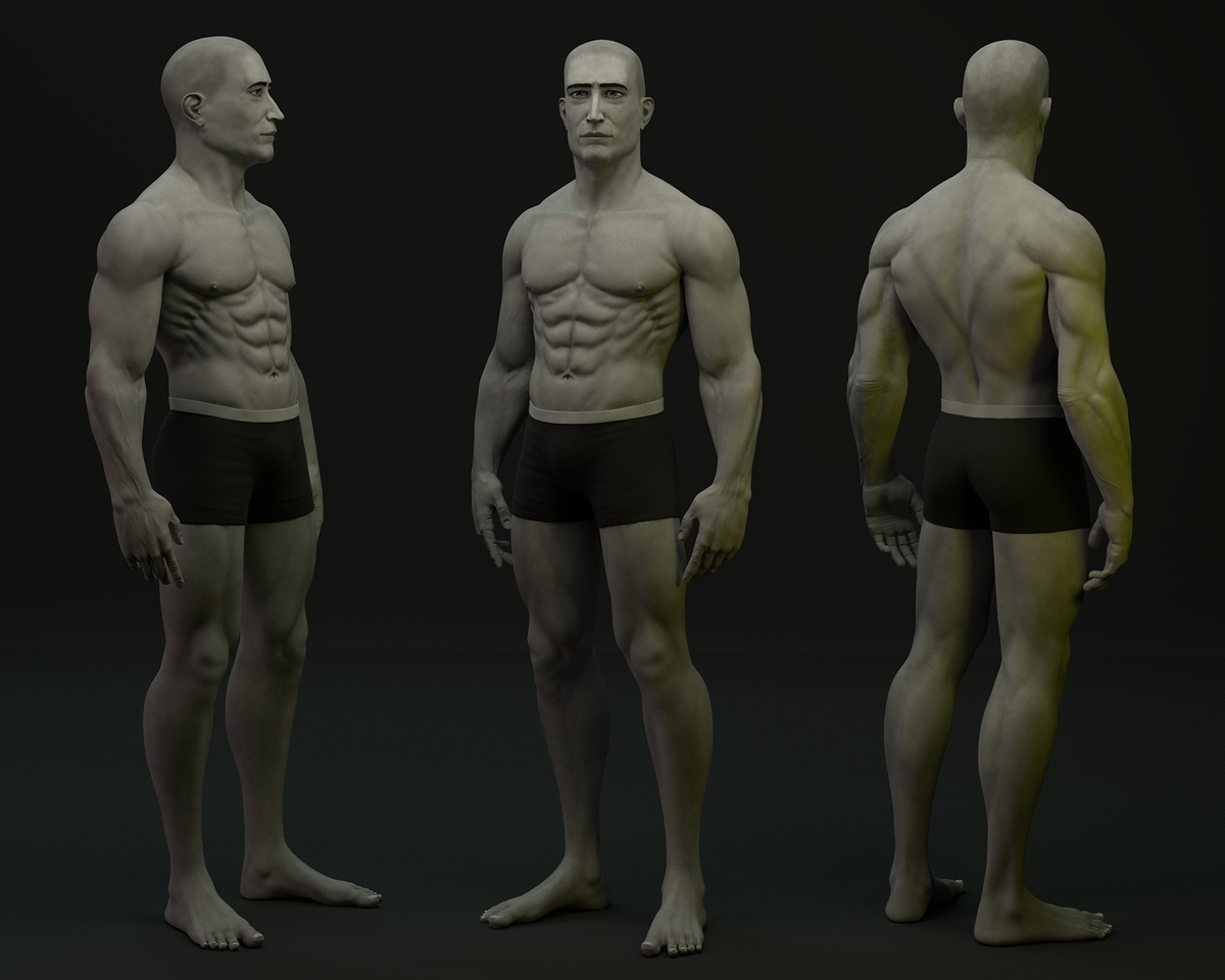 anatomy%2029