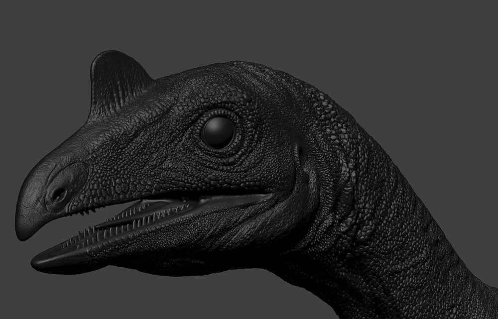 Venetoraptor-gassenae11