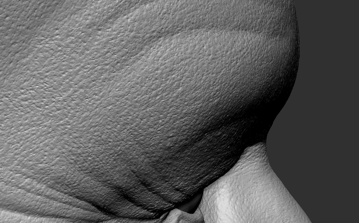 ZBrush Document2