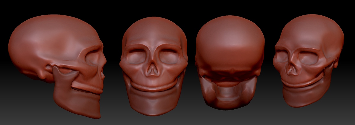 SkullStudy1