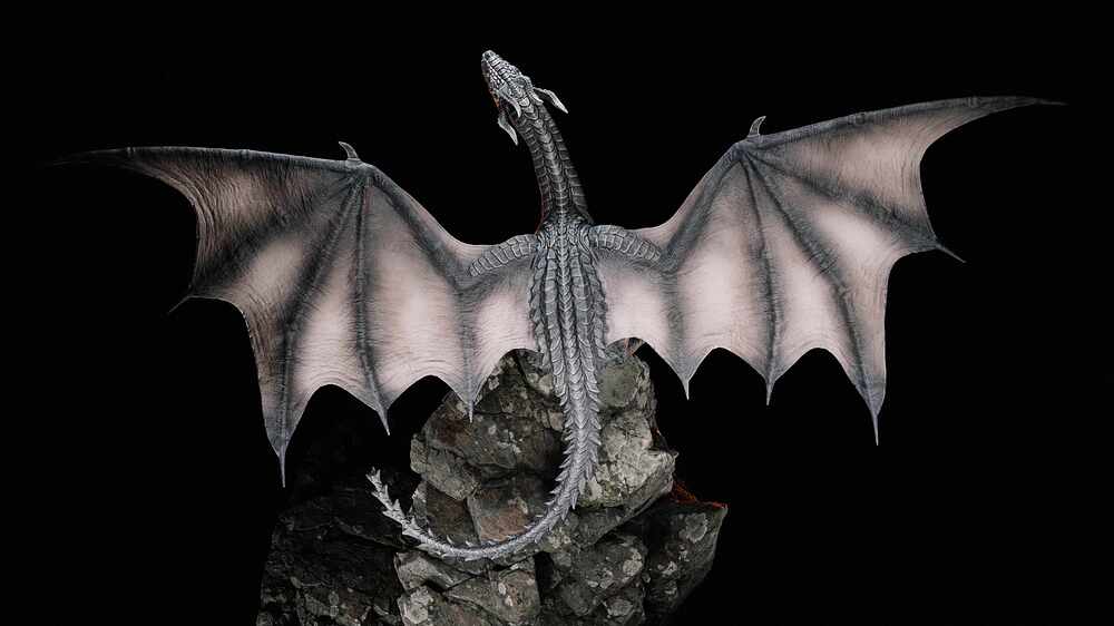 220204_Wyvern4