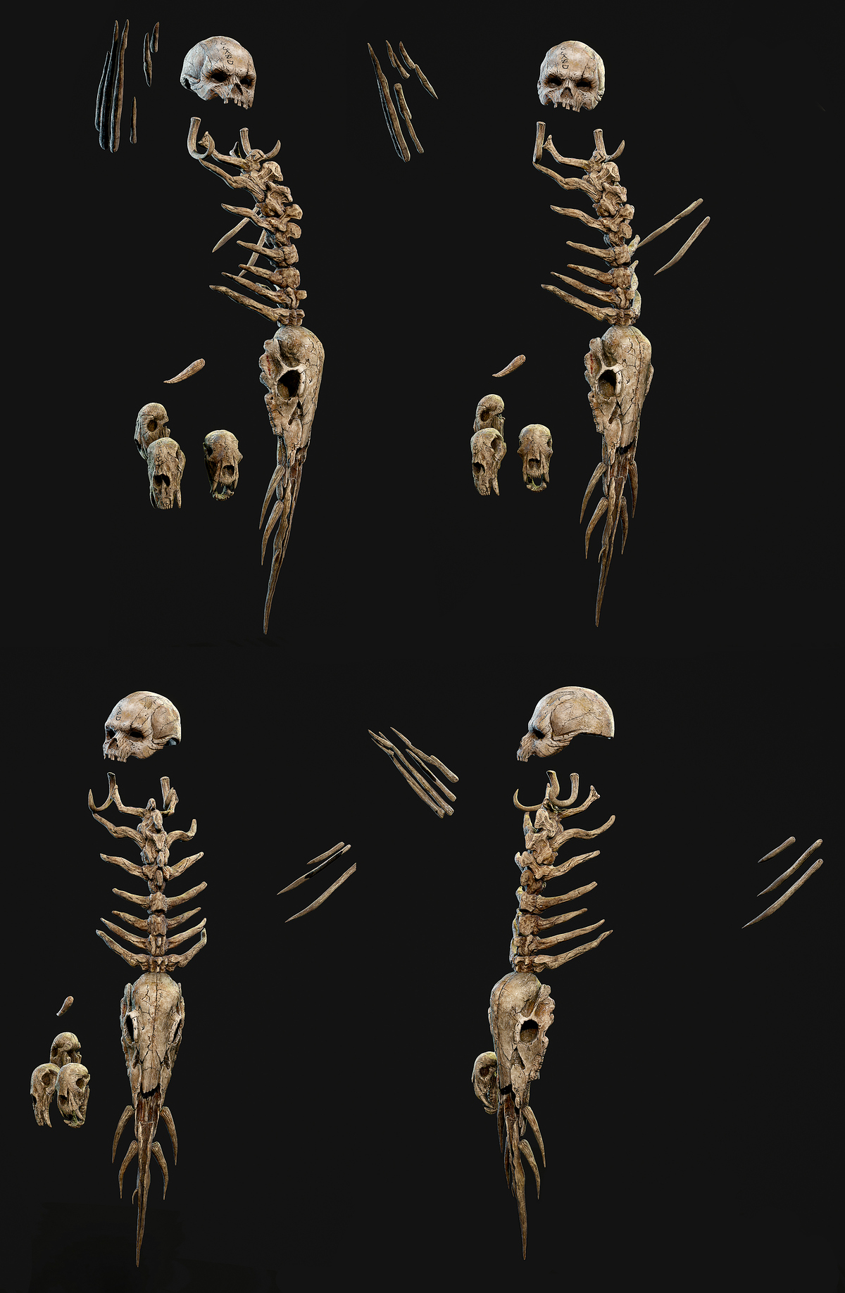 11