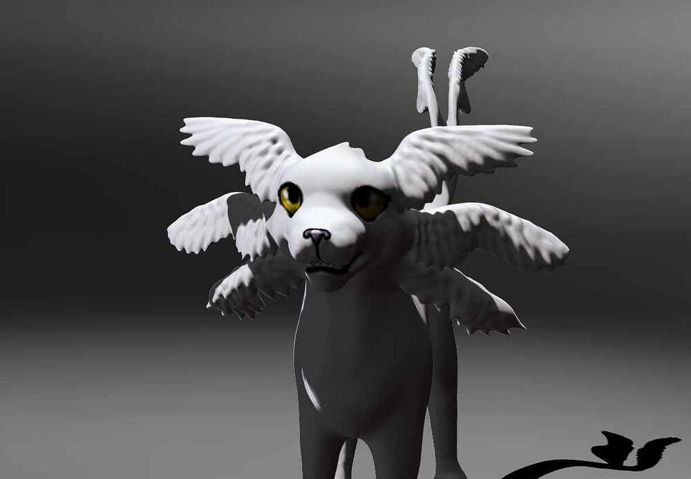 Angelic cat 2