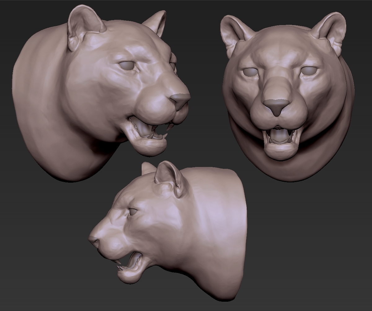leopard-03.jpg