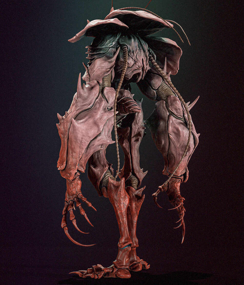 Insects_023