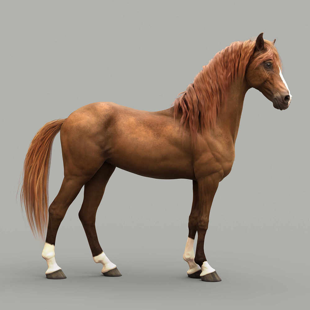 horse_02_By_Khalixti