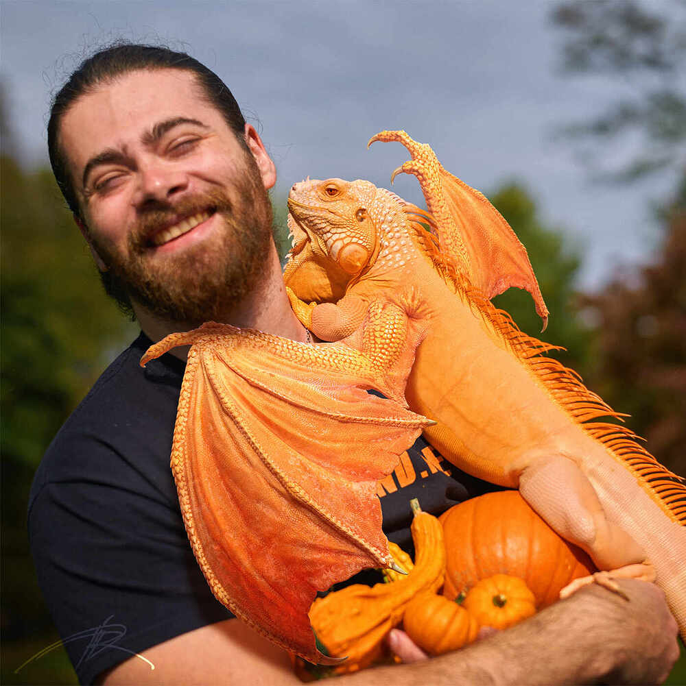 L1004673_halloween_02_1600