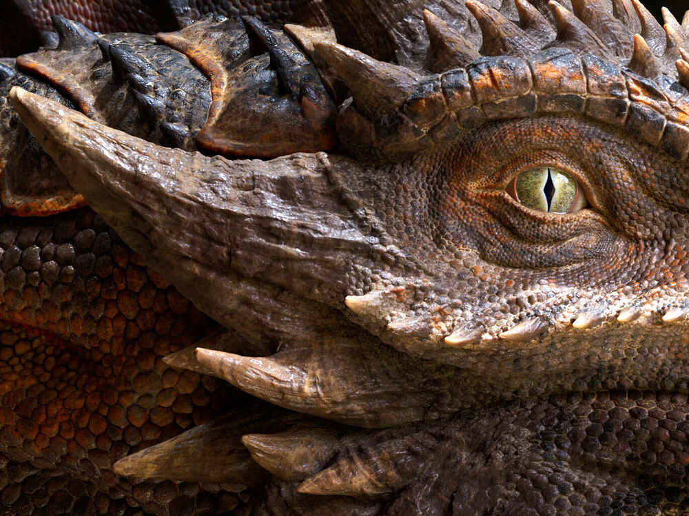 closeup_01