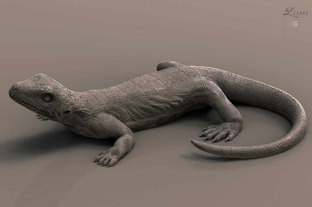 Lizard_CG_CHARACTER_SurajitSen_NOV2022AA