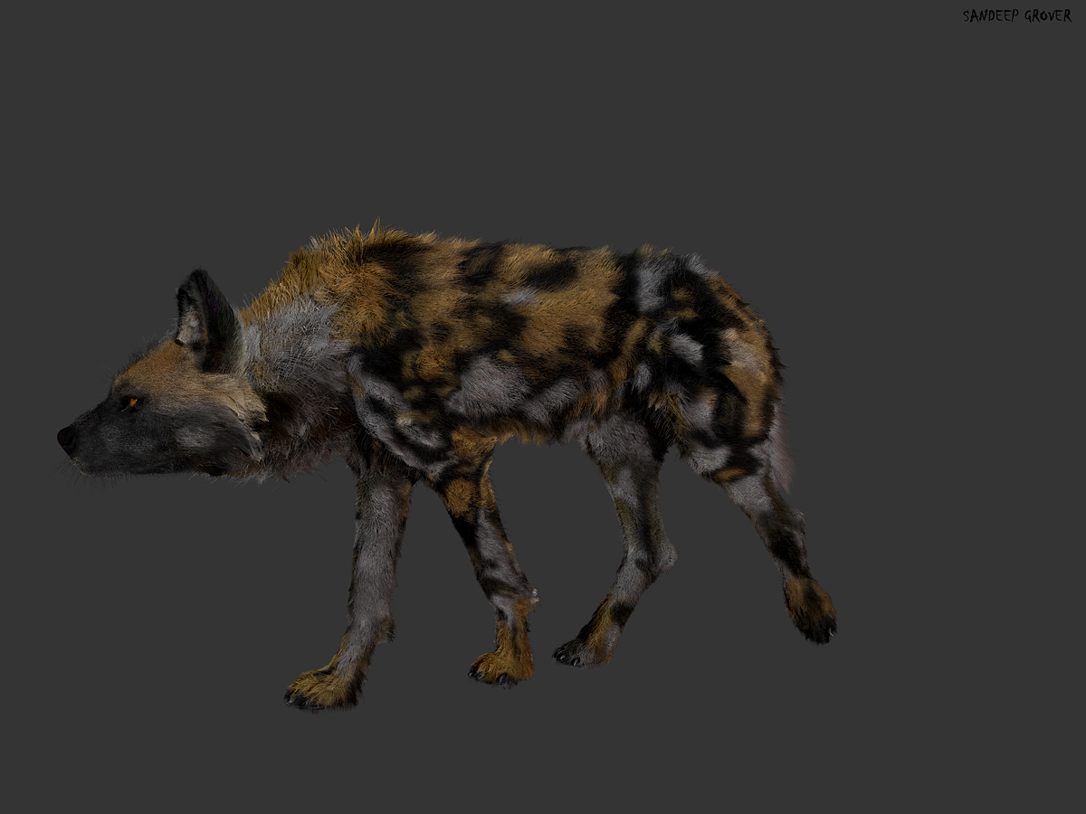 render_persp_03