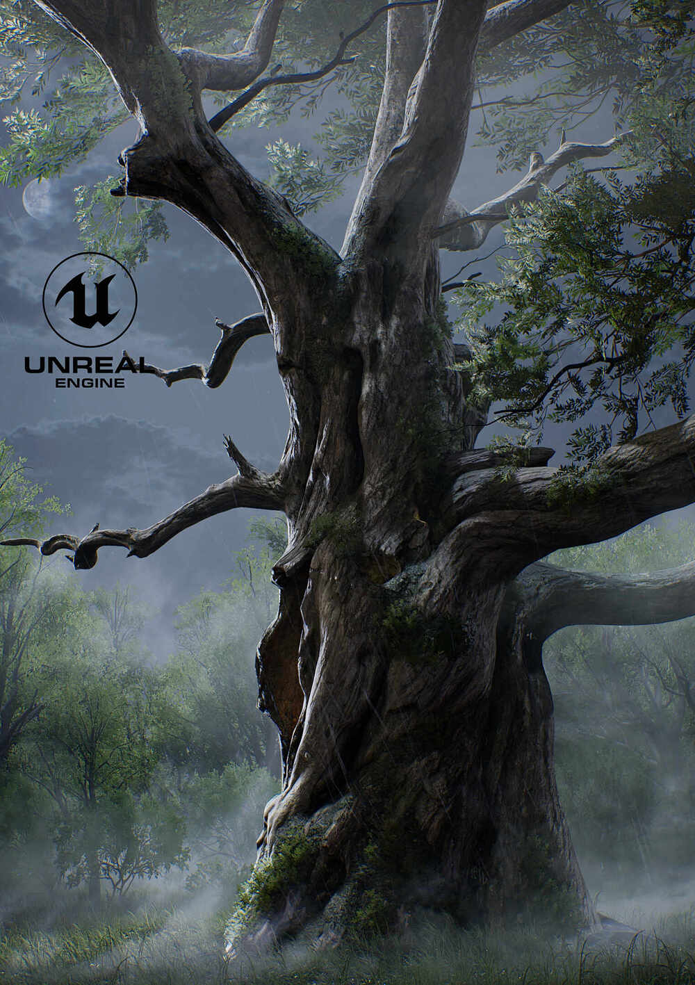 UE_TOD_Tree_Summer_Night01