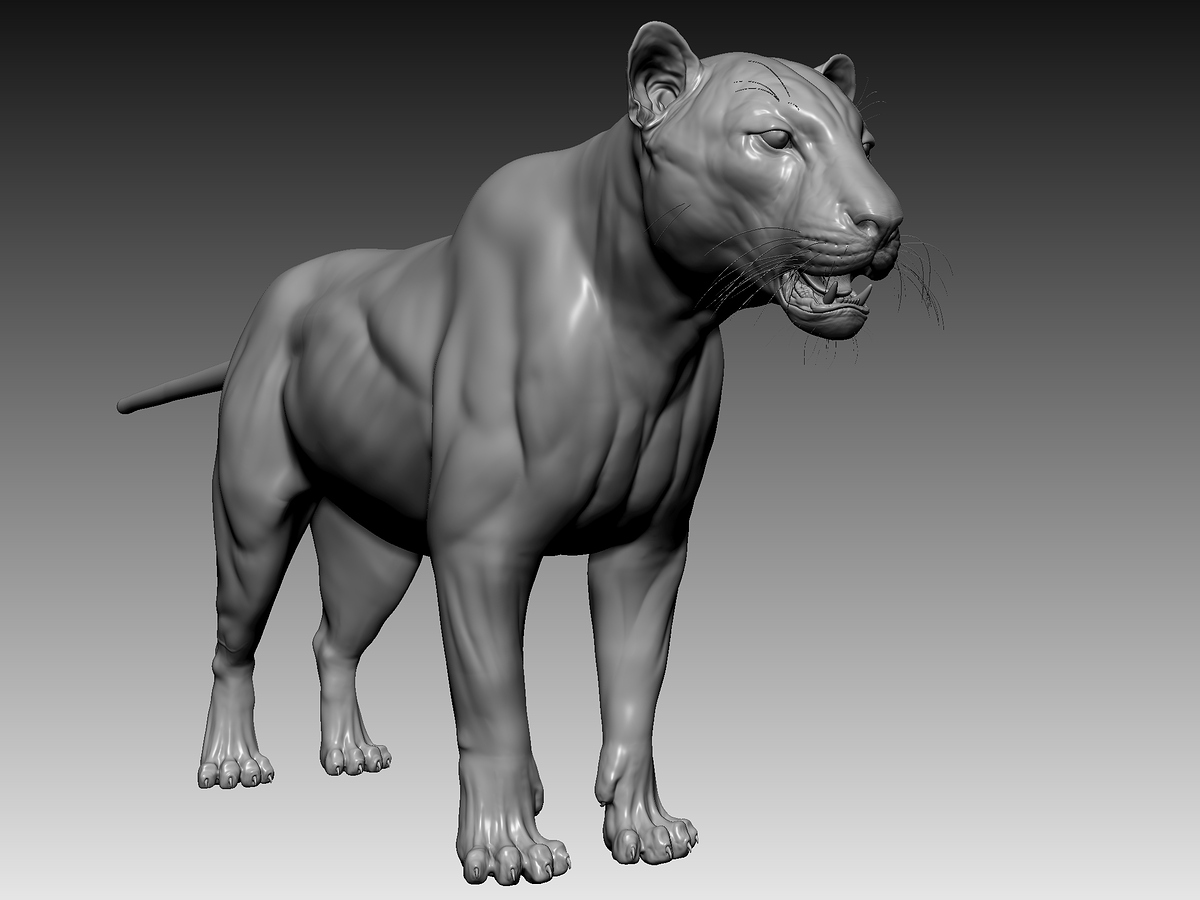 ZBrushSculpt2