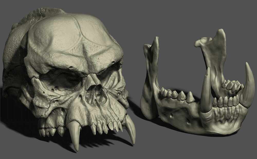 BB-Skull-with jaw-3