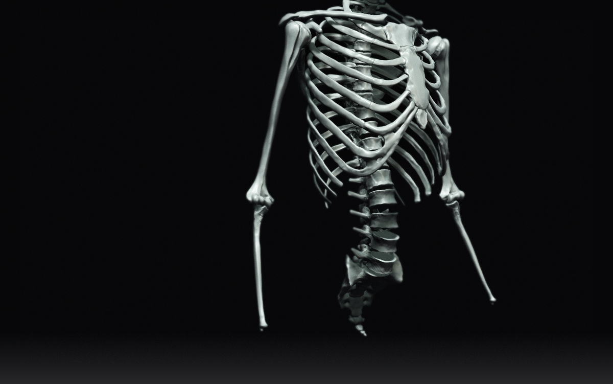 Ulna1