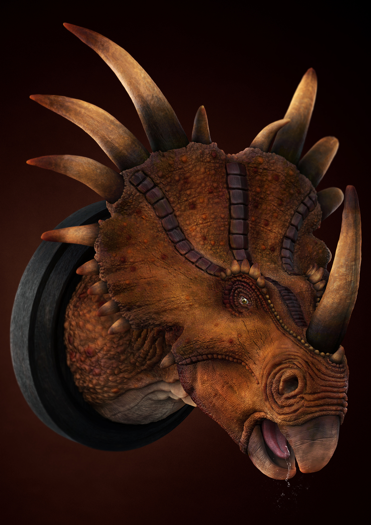 Styracosaurus_c