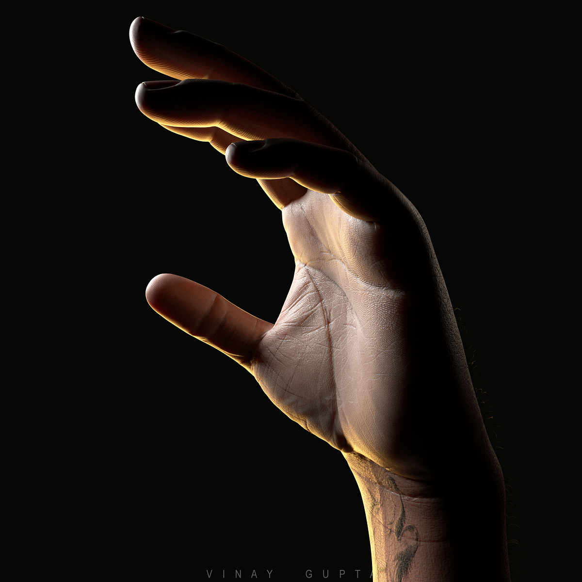 Vinay_Gupta (1)