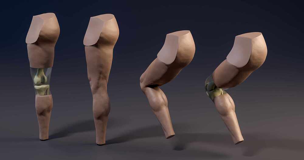 Leg_all_04