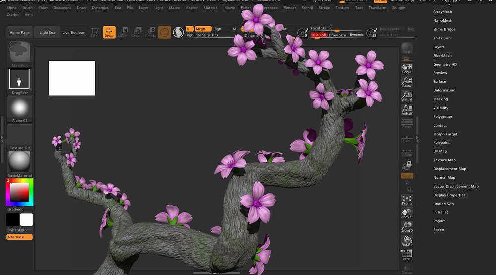 Wip flores 2