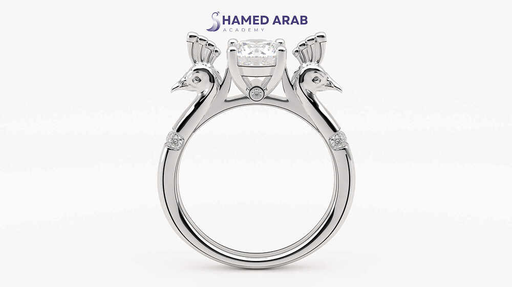 R1-1002 (6.50)_WG_HAMED ARAB ACADEMY