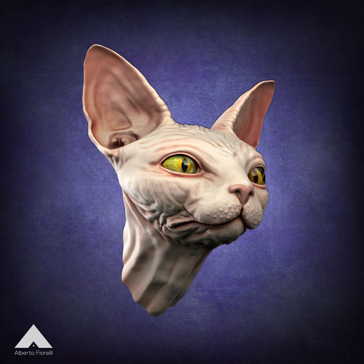 Sphynx_02