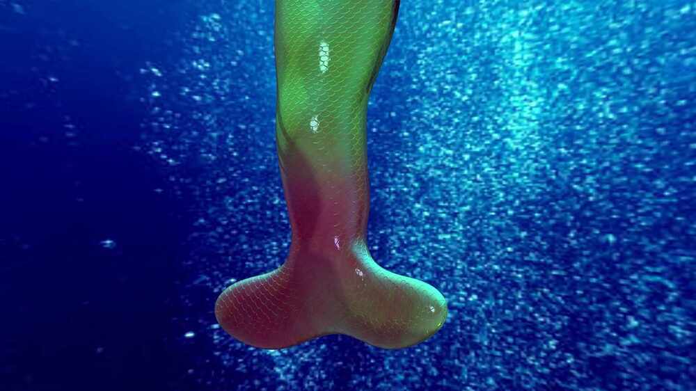 mermaid 5
