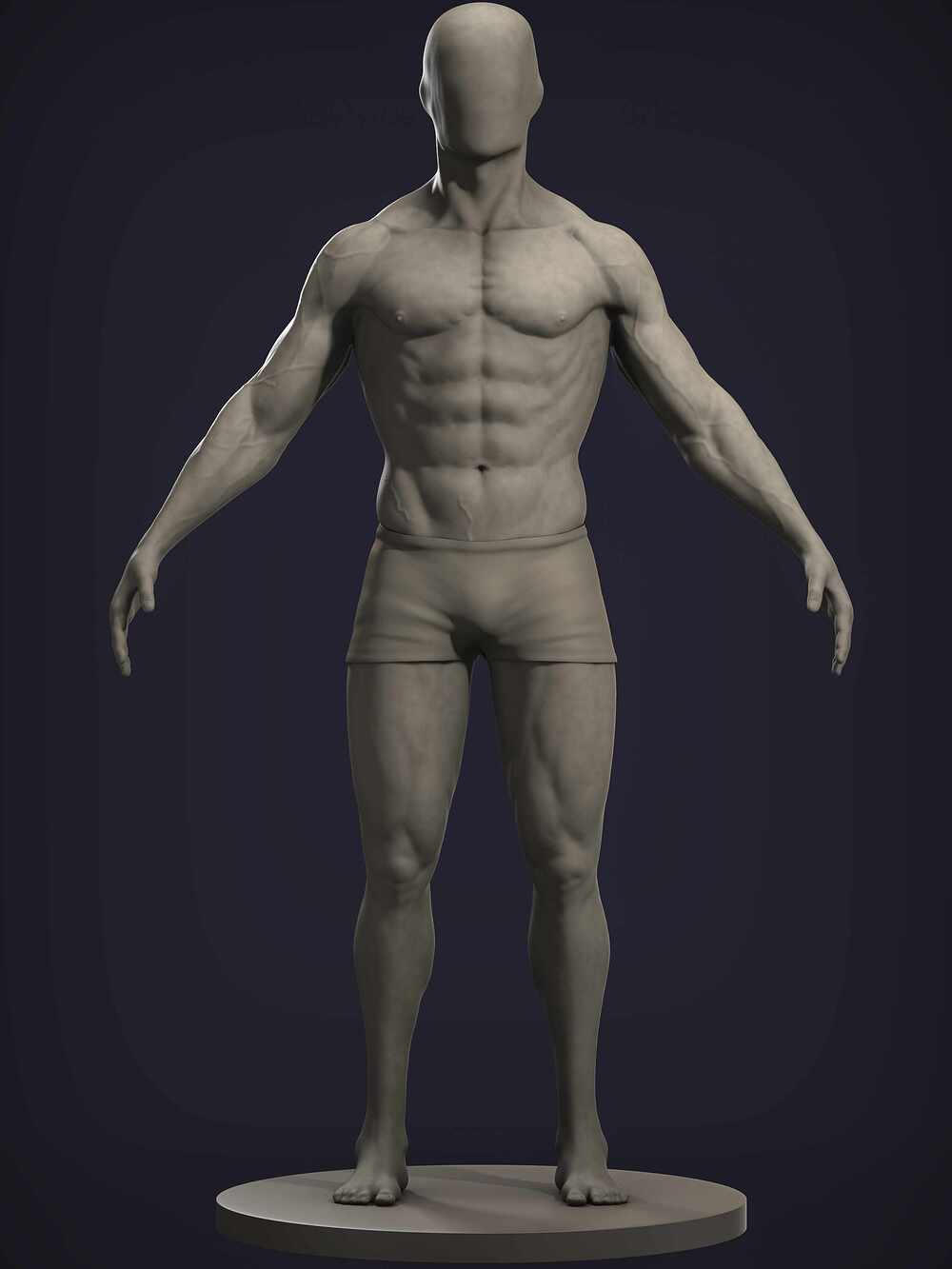 anatomy01