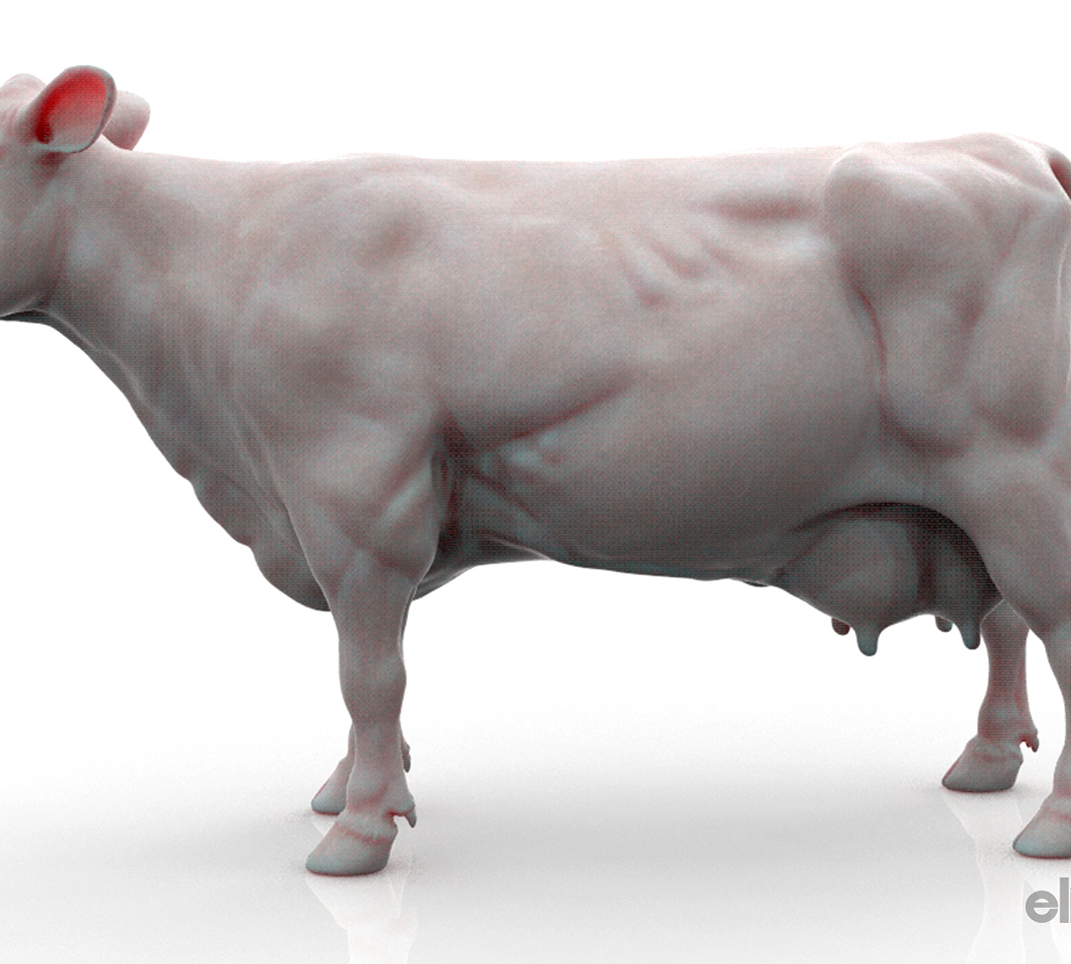 Cow_Model02.jpg
