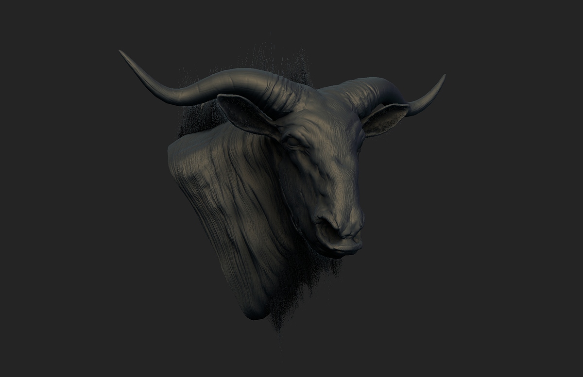 wildebeest_A2