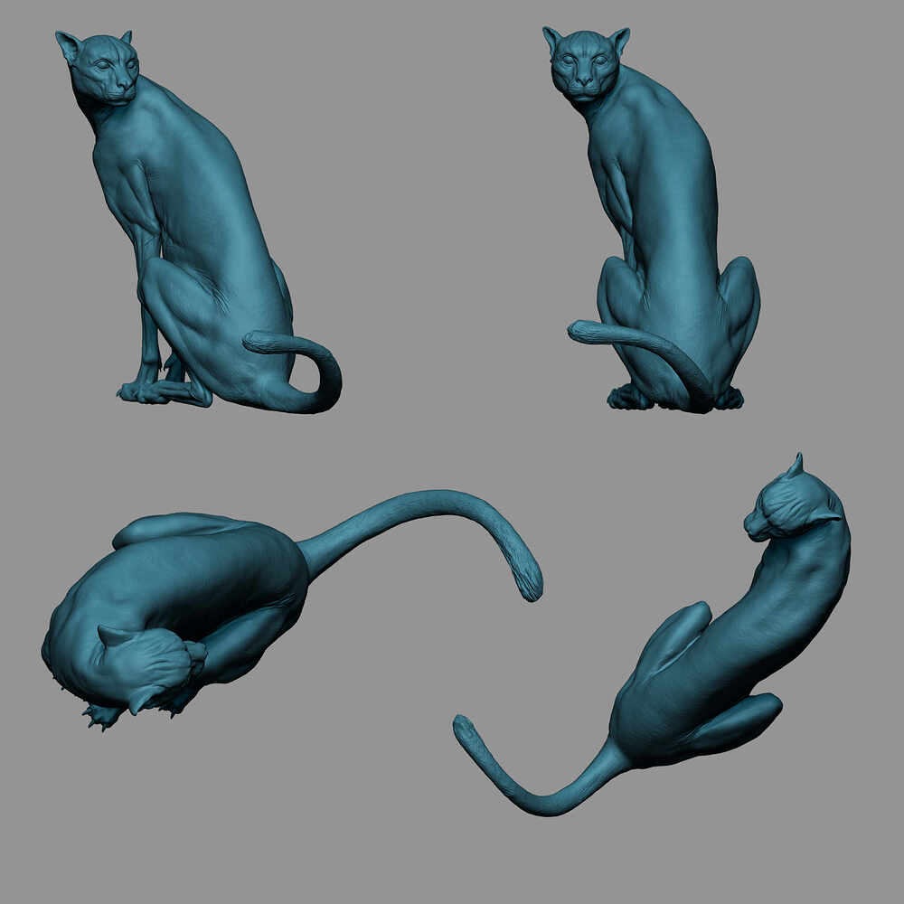 zbrushRender_02
