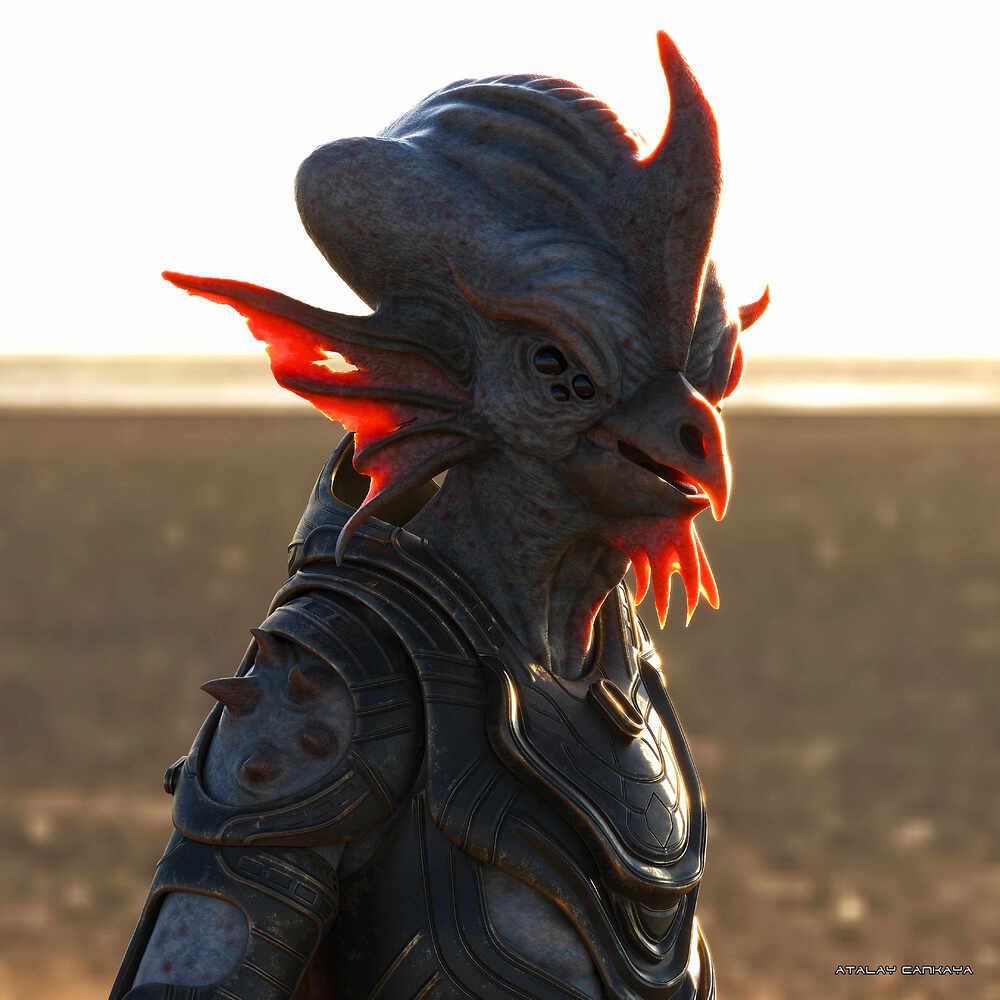 Space Chicken - HDRI 7
